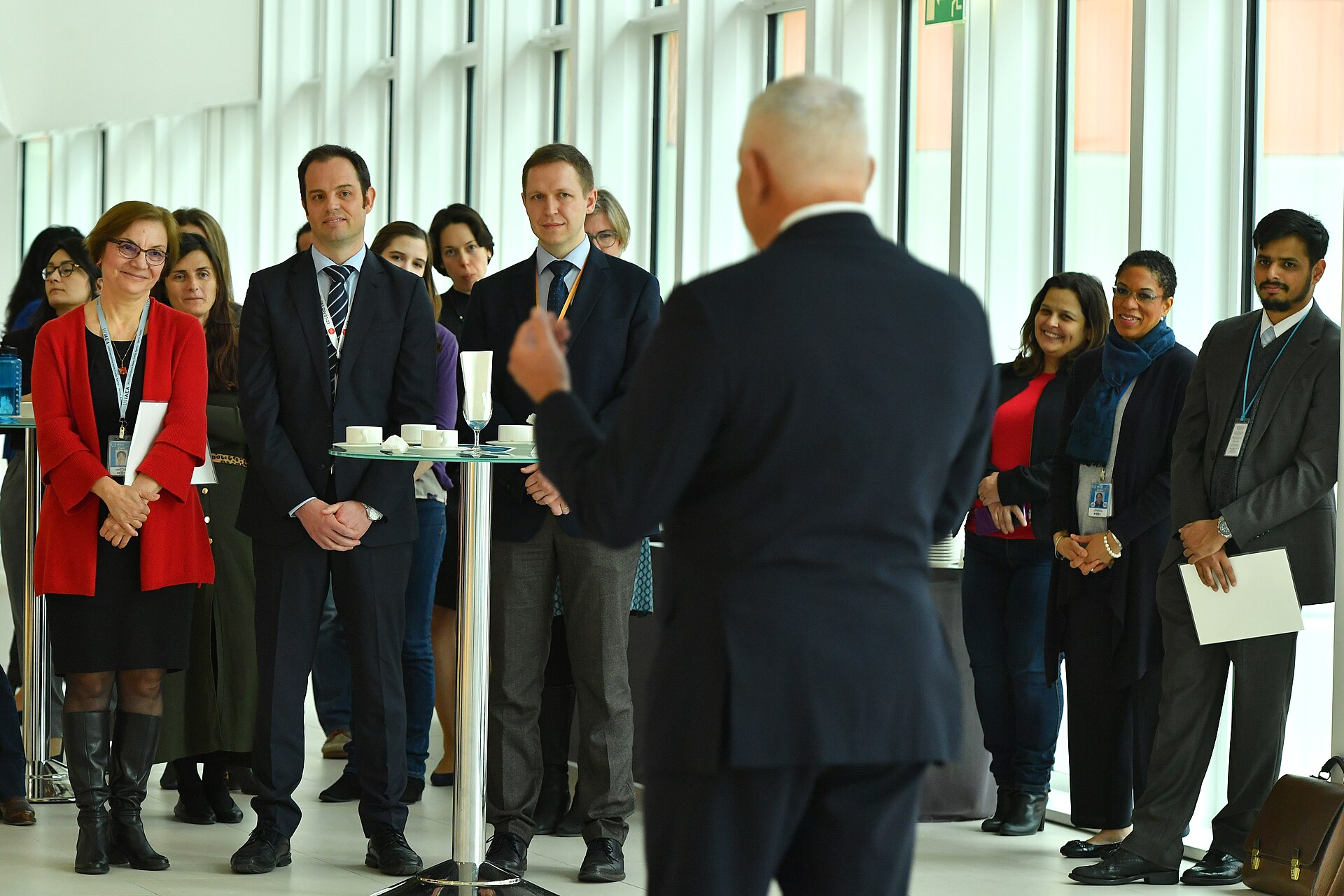 Official closing event of the UN-NYG Mentoring Programme, held at the Agency headquarters in Vienna, Austria. 8 March 2019 Speech by Mentors and Mentees Ms Patricia Gody-Kain - Mentor Mr Christophe Xerri - Mentor Ms Johanna Slaets - Mentee Mr Joseph Hiess - Mentee Ms Melissa Buerbaumer - Mentor Photo Credit: Dean Calma / IAEA UN NYG OFFICERS: Chirayu Batra - President Denis Subbotnitskiy - Vice President Kirsten Virginia Glenn - Communications and Liaison Officer Marianne Nari Fisher – Treasurer Babatunde Adigun – Programme Manager Amelia Lee Zhi Yi - Mentoring Coordinator Rong Liu - Intern Coordinator The UN-NYG Mentoring Programme is a project initiated by the UN-NYG and led by Ms Amelia Lee Zhi Yi, the UN-NYG Mentoring Coordinator. The programme is implemented with support from the IAEA Office of the Deputy Director General, Ms Mary Alice Hayward, Head of the Department of Management. The key vision of the mentoring programme is to act as a platform for IAEA staff to strengthen their professional skills at the workplace and improve networking capacity through the cultivation of cross departmental and generational relationships. The goals of the Mentoring Programme are to: 1. Strengthen staff resources through mutual learning experiences for mentors and mentees, to nurture high performance leaders with the capacity to “give back” at the workplace 2.Develop self-sustaining professional relationships between mentors and mentees that narrow the gap between different departments and age groups at the IAEA